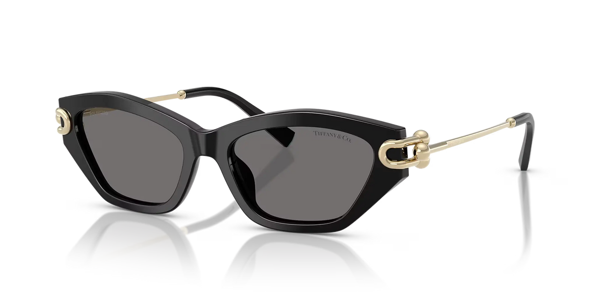 Lunettes De Soleil Tiffany & Co TF4231U by Skylereyes