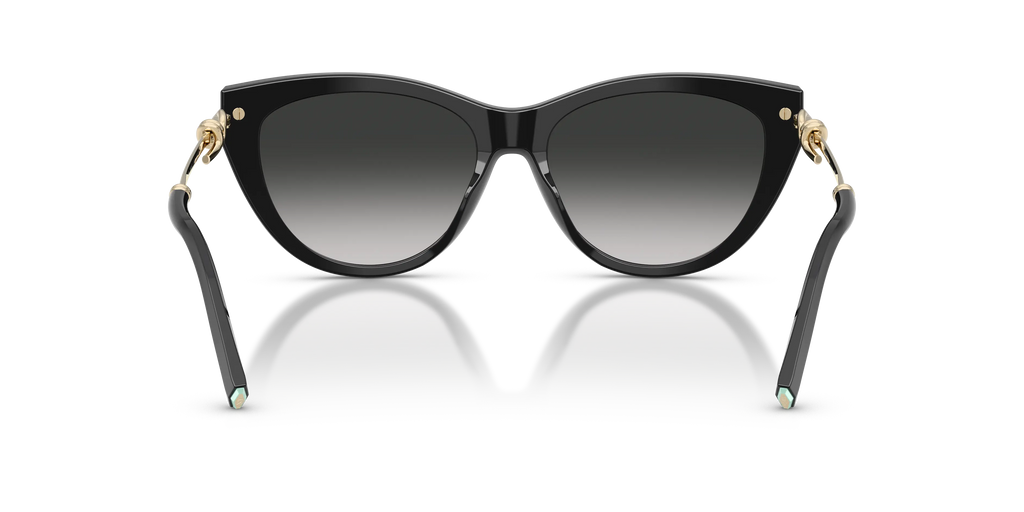 Lunettes De Soleil Tiffany & Co TF4253 by Skylereyes