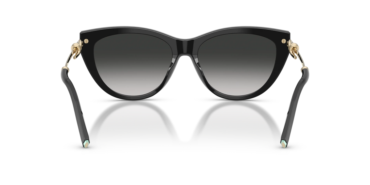 Lunettes De Soleil Tiffany & Co TF4253 by Skylereyes