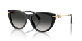 Lunettes De Soleil Tiffany & Co TF4253 by Skylereyes