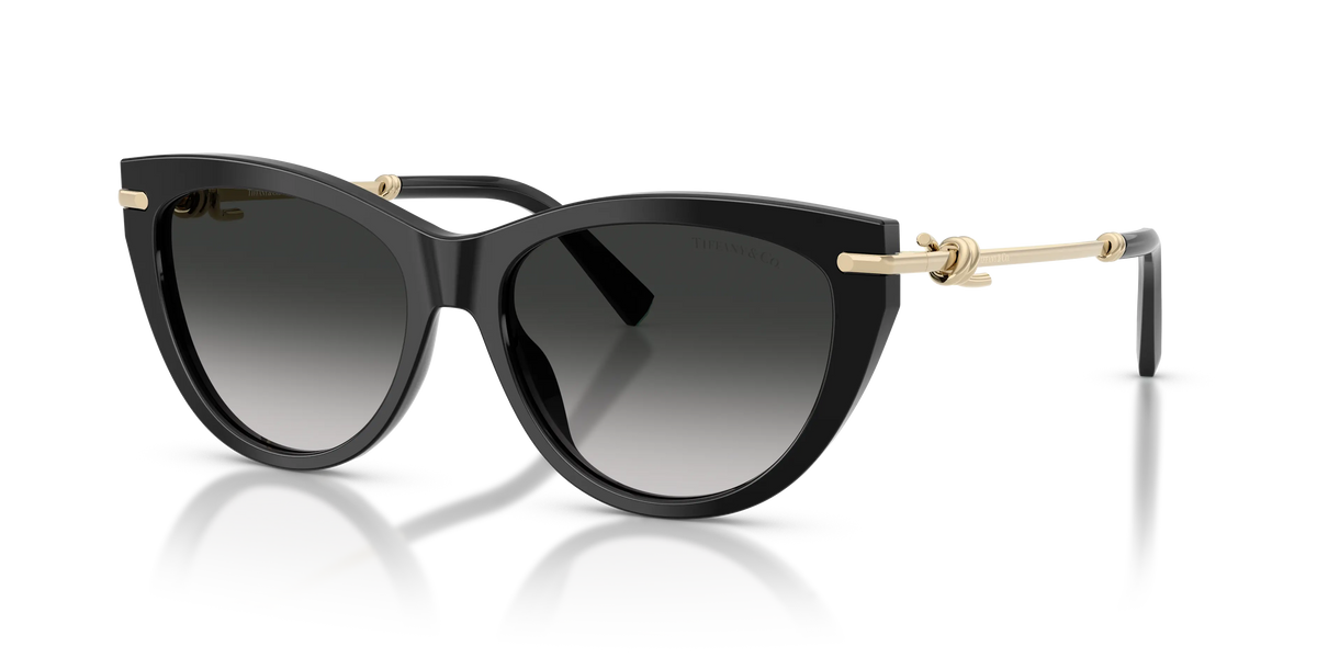 Lunettes De Soleil Tiffany & Co TF4253 by Skylereyes